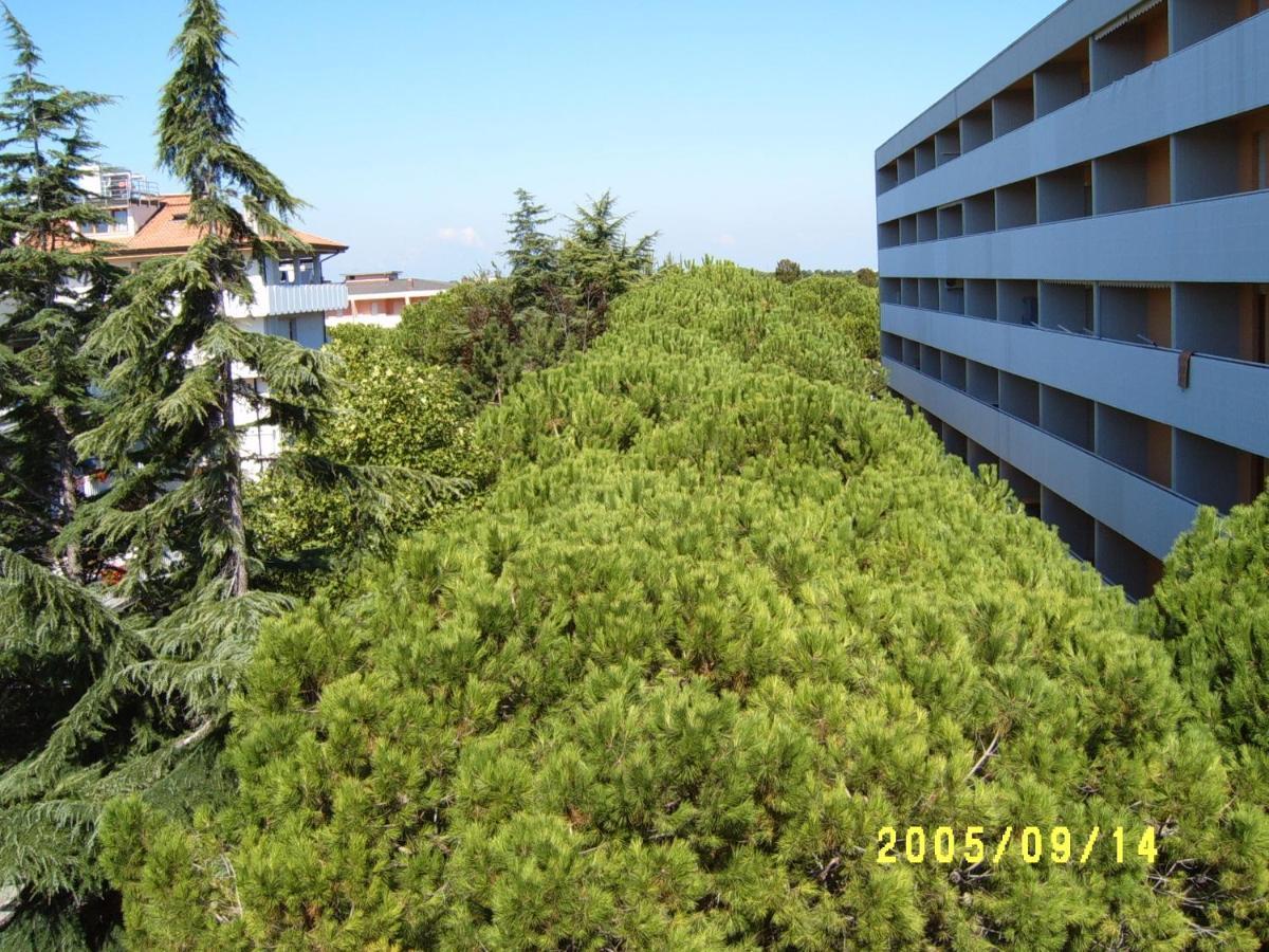 Hotel Gran Venere Beach 3 Superior 비비오네 외부 사진